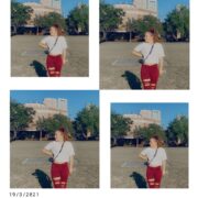 The Southern Midwesterner