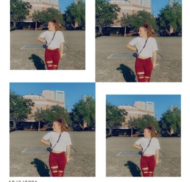 The Southern Midwesterner The Southern Midwesterner