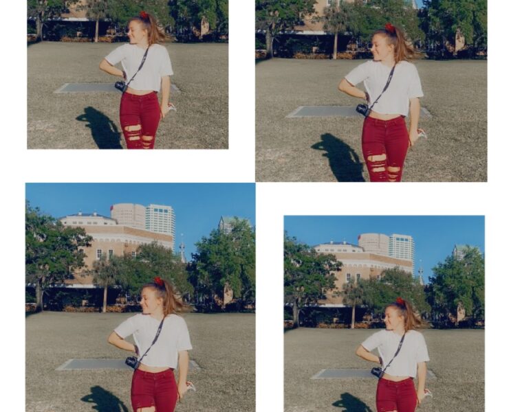 The Southern Midwesterner