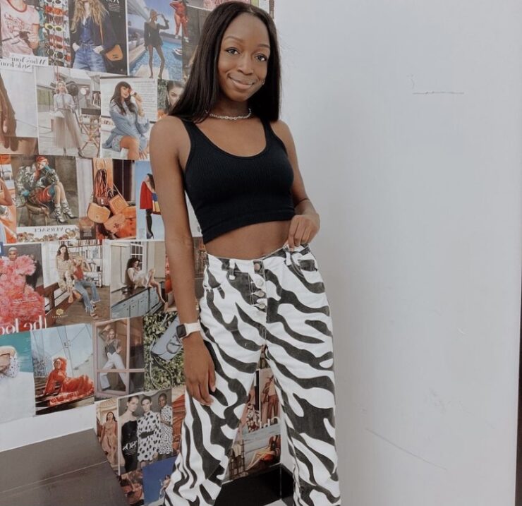 Zebra Stripes and Everything Nice