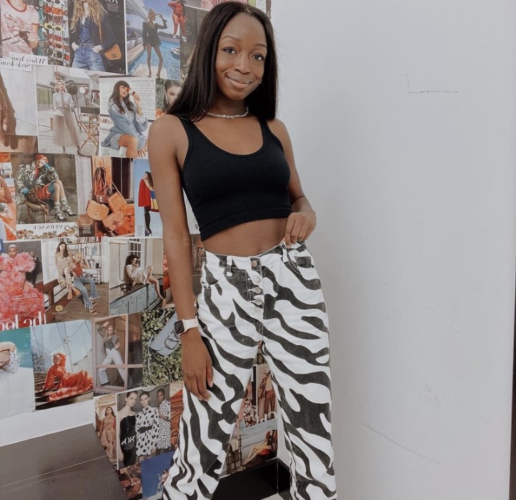 Zebra Stripes and Everything Nice Zebra Stripes and Everything Nice
