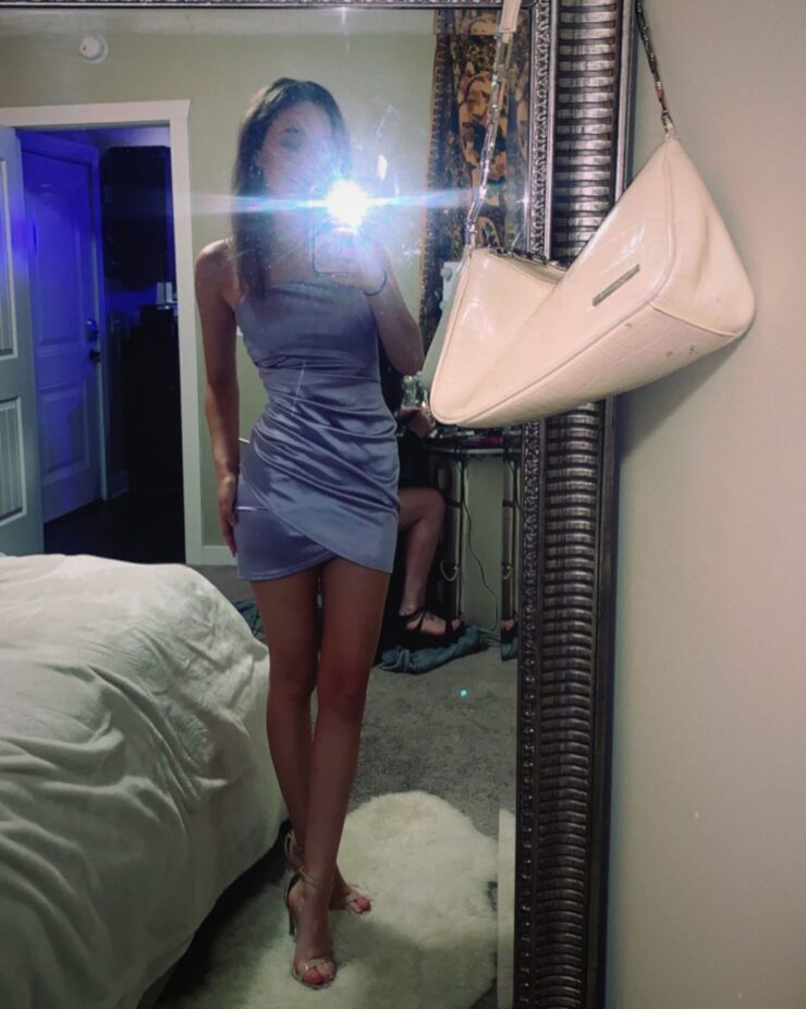 Fashionable Party Animals