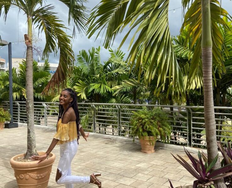 Between the Palms Between the Palms