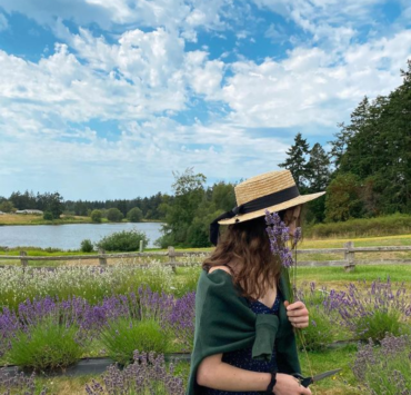 Lavender Field Lavender Field
