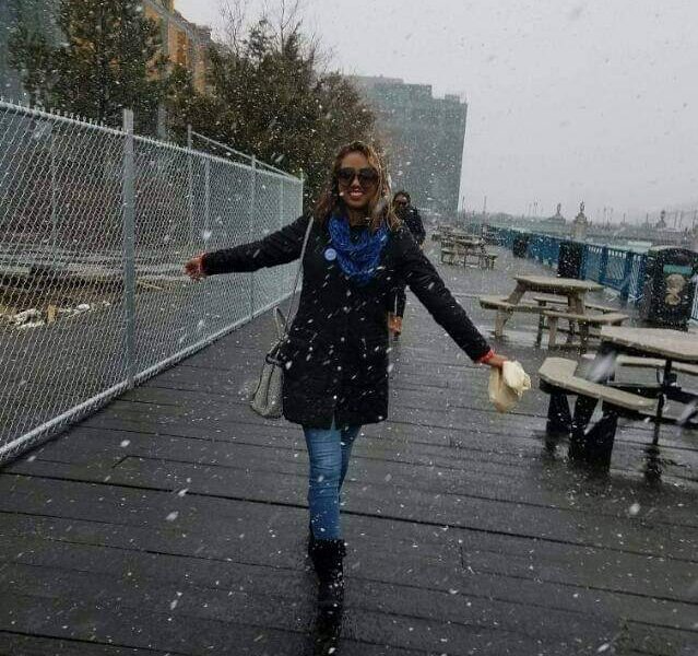 Snow Flakes Snow Flakes