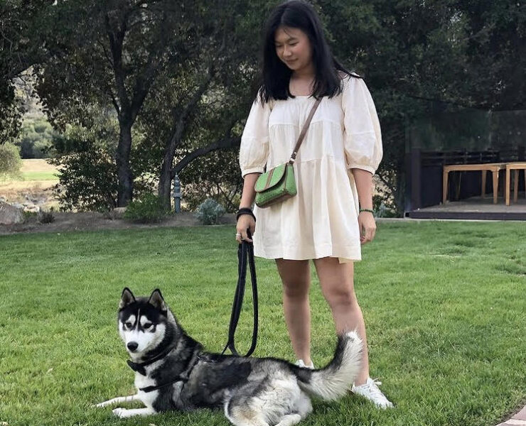 Pretty Summer Dress #OOTD