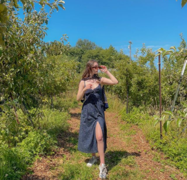 Berry Picking Fiesta