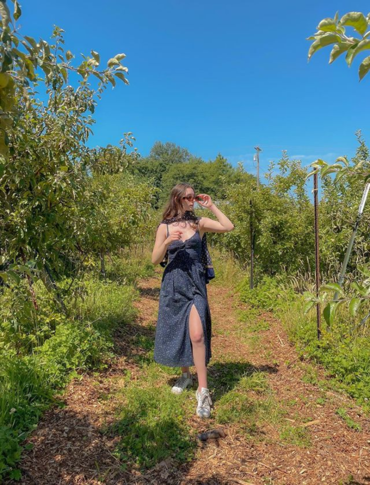 Berry Picking Fiesta