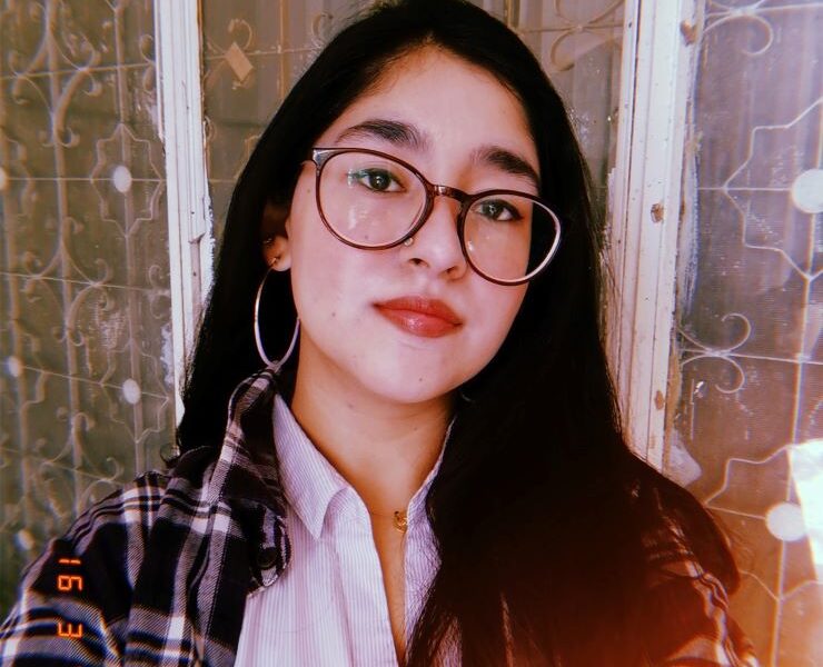 The Plaid Shirt