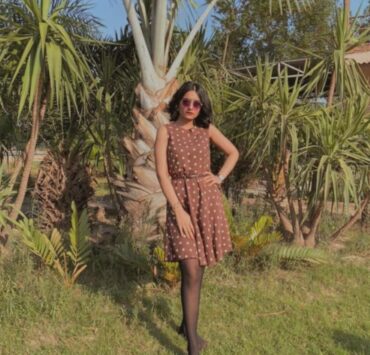 The Chic Fall Dress The Chic Fall Dress