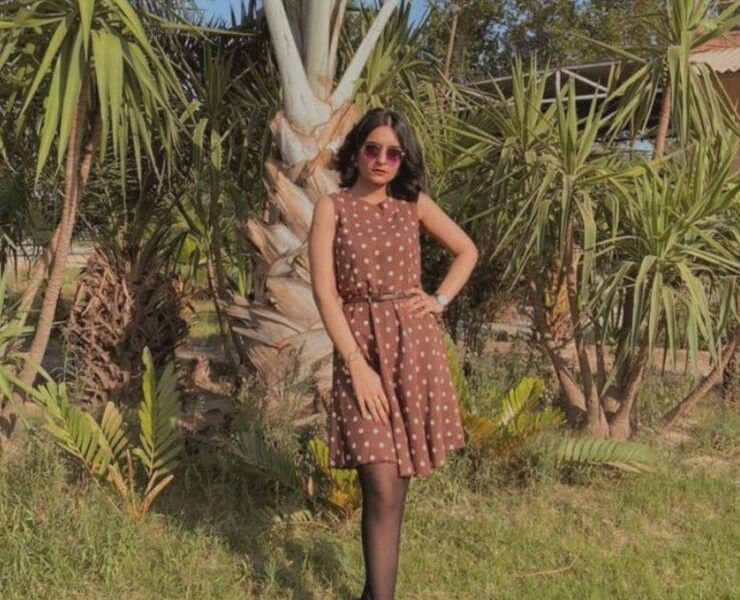 The Chic Fall Dress