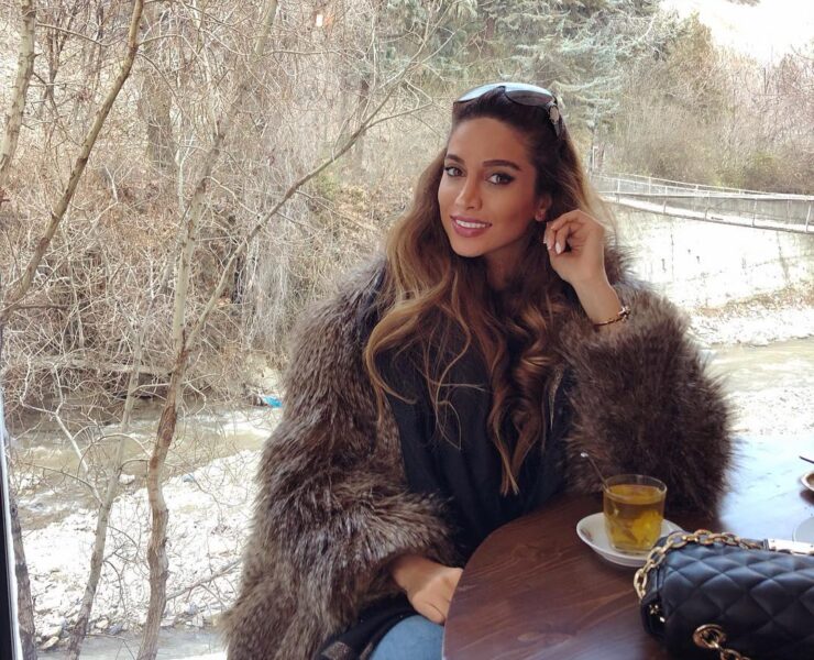 Faux Fur Look