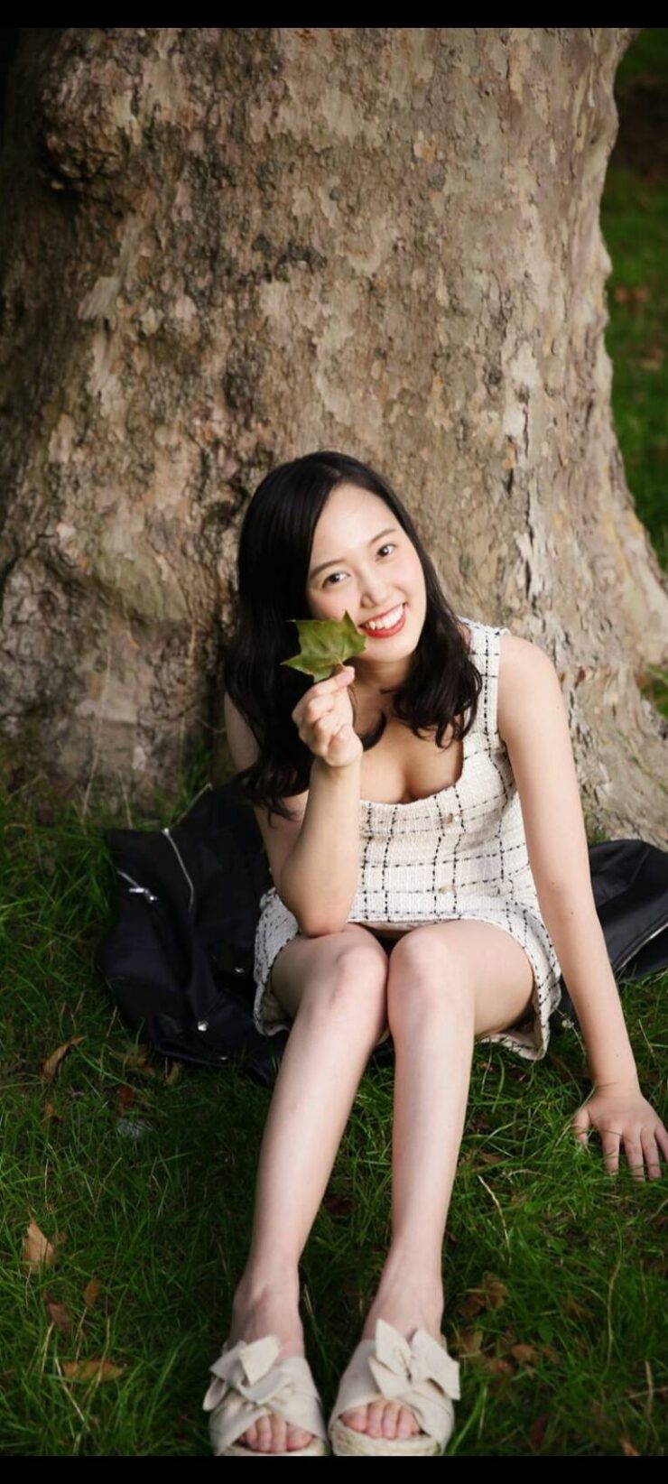 Elegance at the Park