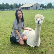 Hey Lovely Llama