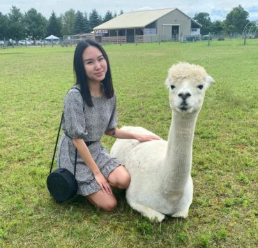 Hey Lovely Llama Hey Lovely Llama