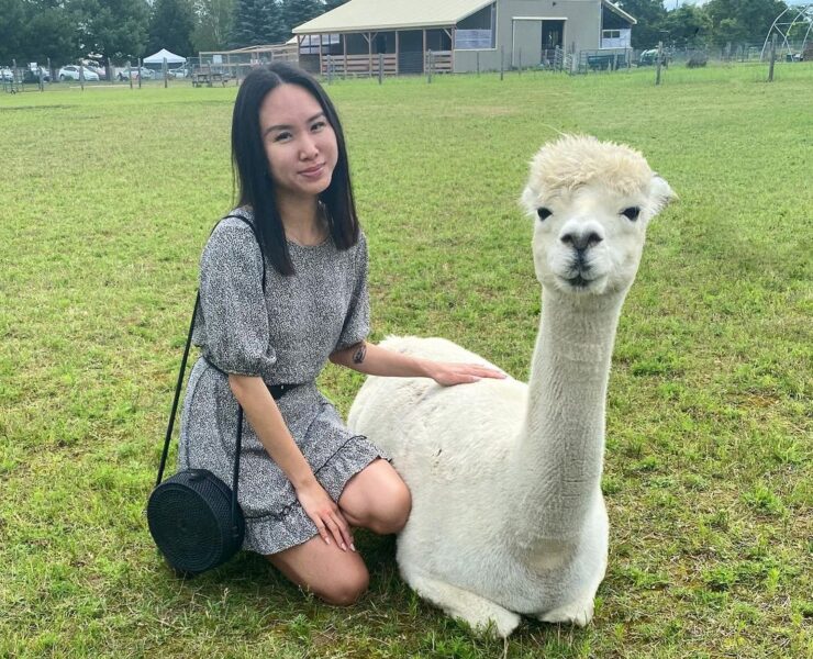 Hey Lovely Llama