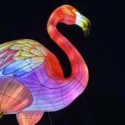 If You’ve Always Wanted To Take Photos of Huge Flamingos for Your Insta, Here’s Where