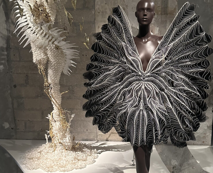 Haute Couture Created Under a Microscope – That’s Iris van Herpen