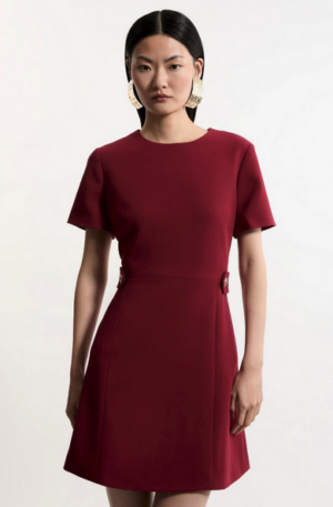 Karen Millen Burgundy Dress (similar)