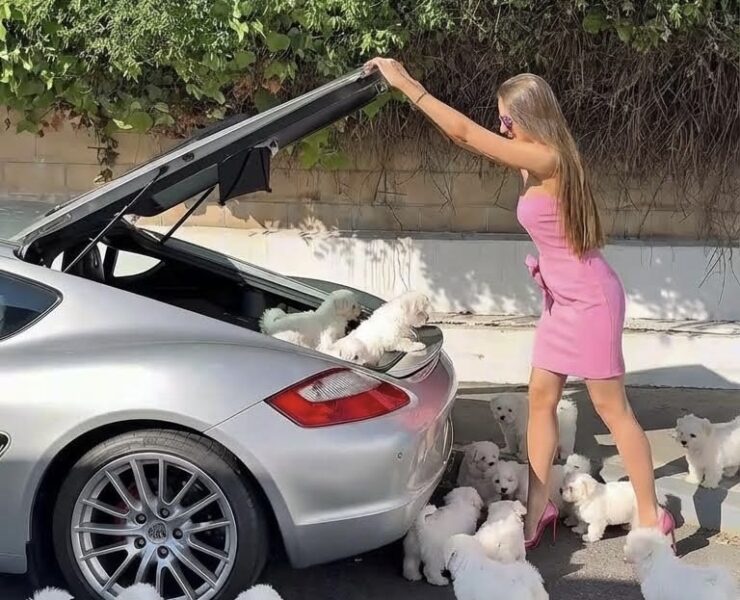 RGNN Collaborates With Dreamina, CapCut’s AI Tool, To Test the Technology of the Future in Fashion