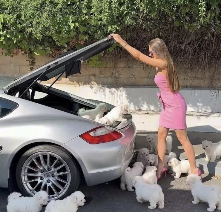 RGNN Collaborates With Dreamina, CapCut’s AI Tool, To Test the Technology of the Future in Fashion