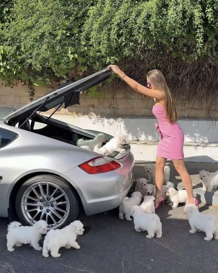 RGNN Collaborates With Dreamina, CapCut’s AI Tool, To Test the Technology of the Future in Fashion